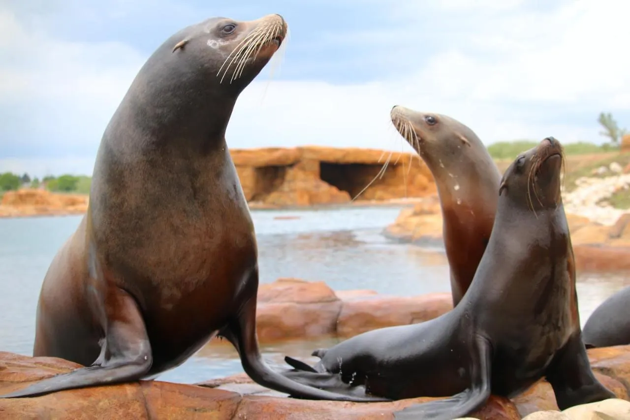 Hex Wildlife Hotel At Yorkshire Wildlife Park Doncaster