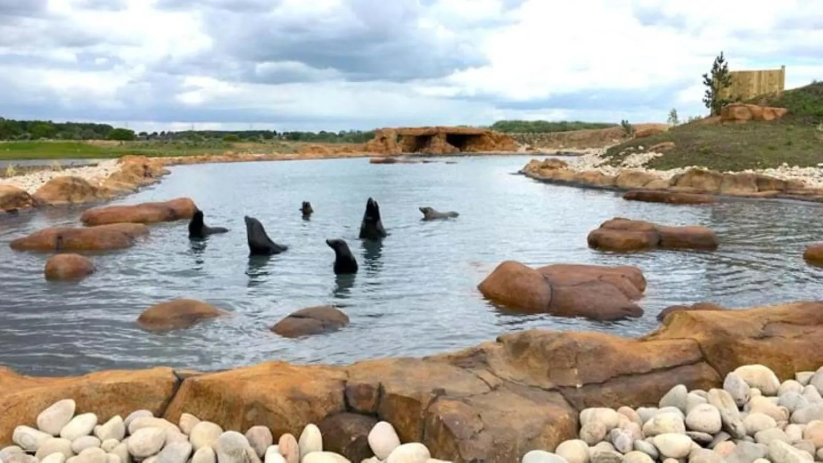 Hex Wildlife Hotel At Yorkshire Wildlife Park Doncaster Royaume-Uni