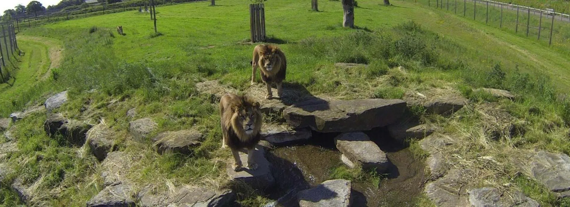 Hex Wildlife Hotel At Yorkshire Wildlife Park Doncaster